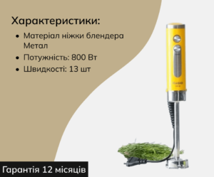 Blender zanuriuvalnyi Magio MG-646 800W